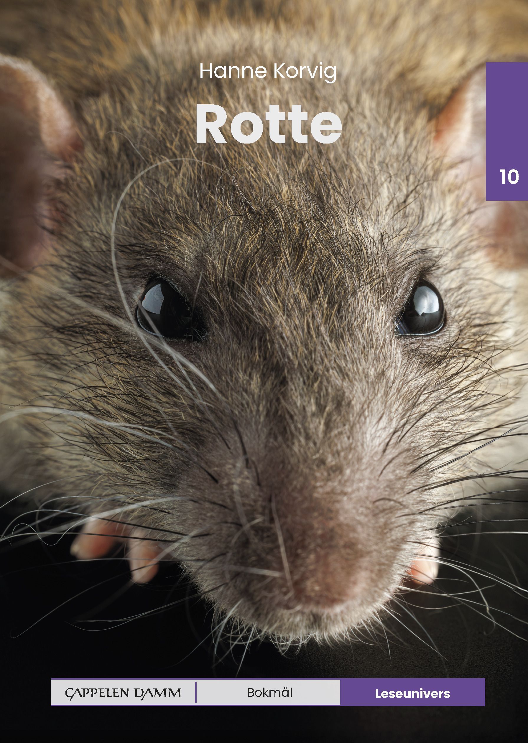 Rotte : nivå 10
