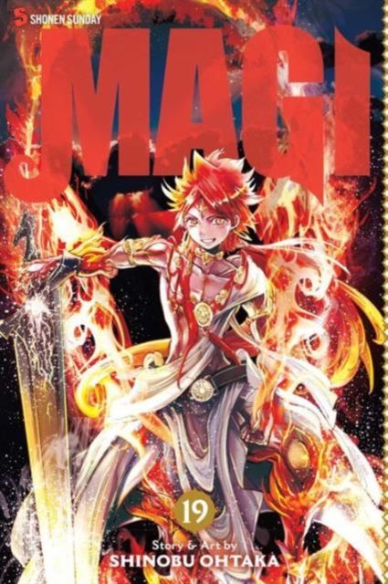 Magi : the labyrinth of magic. 19