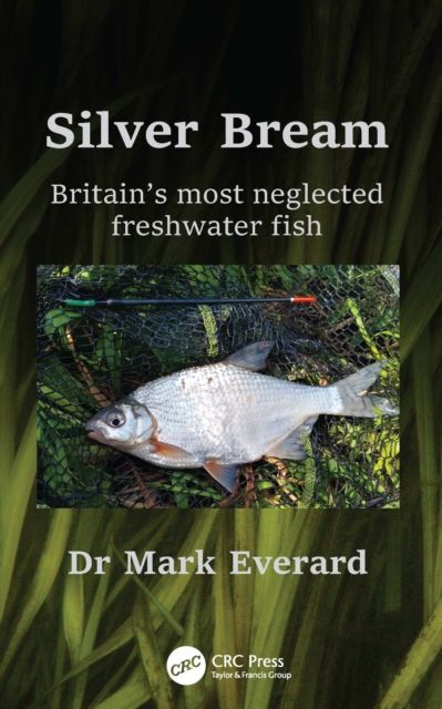 Silver Bream : Britain’s most neglected freshwater fish