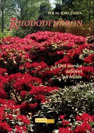 Rhododendron : i det Norske arboret på Milde