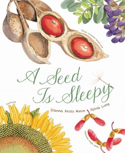 A seed is sleepy
