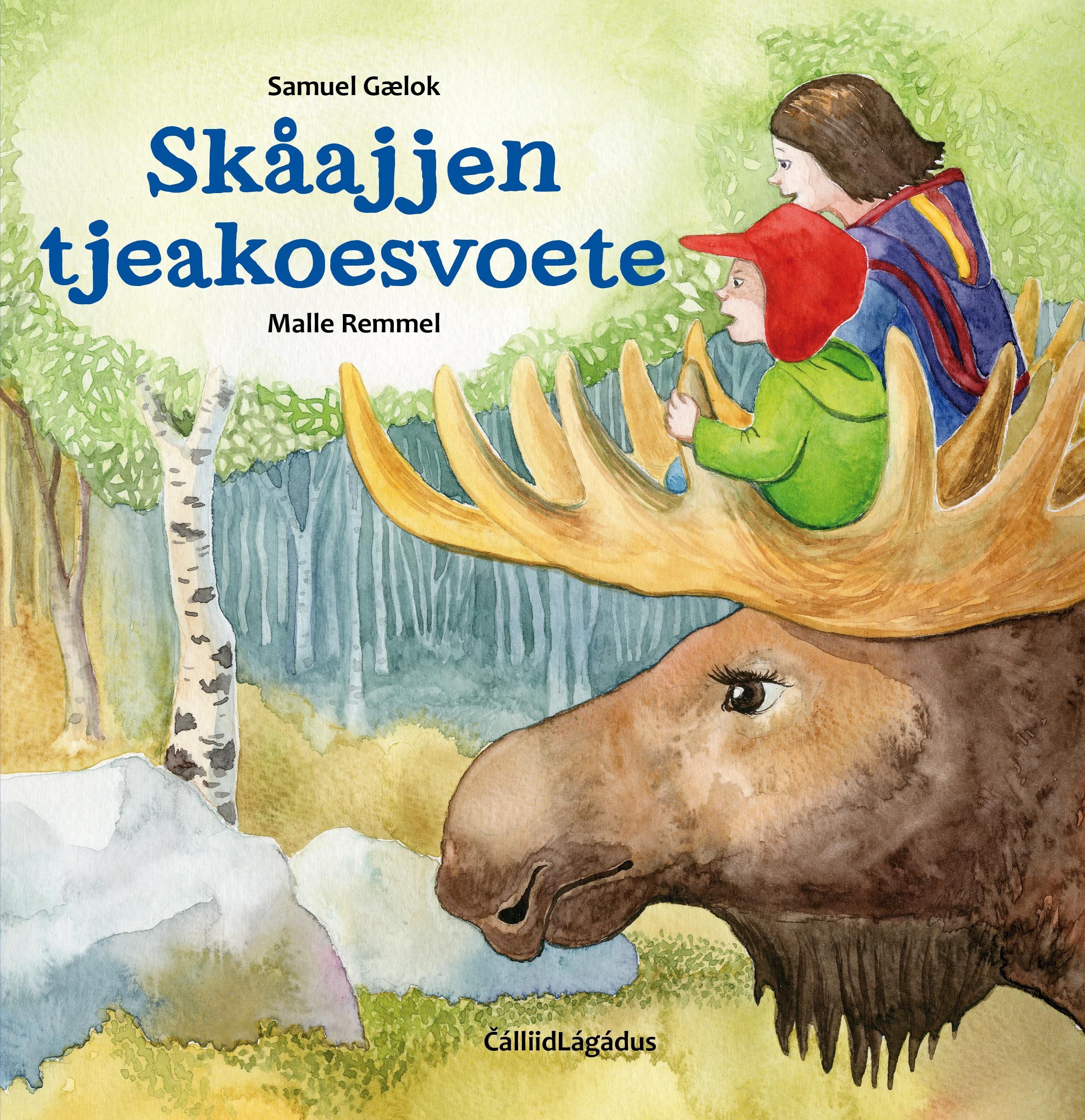 Skåajjen tjeakoesvoete