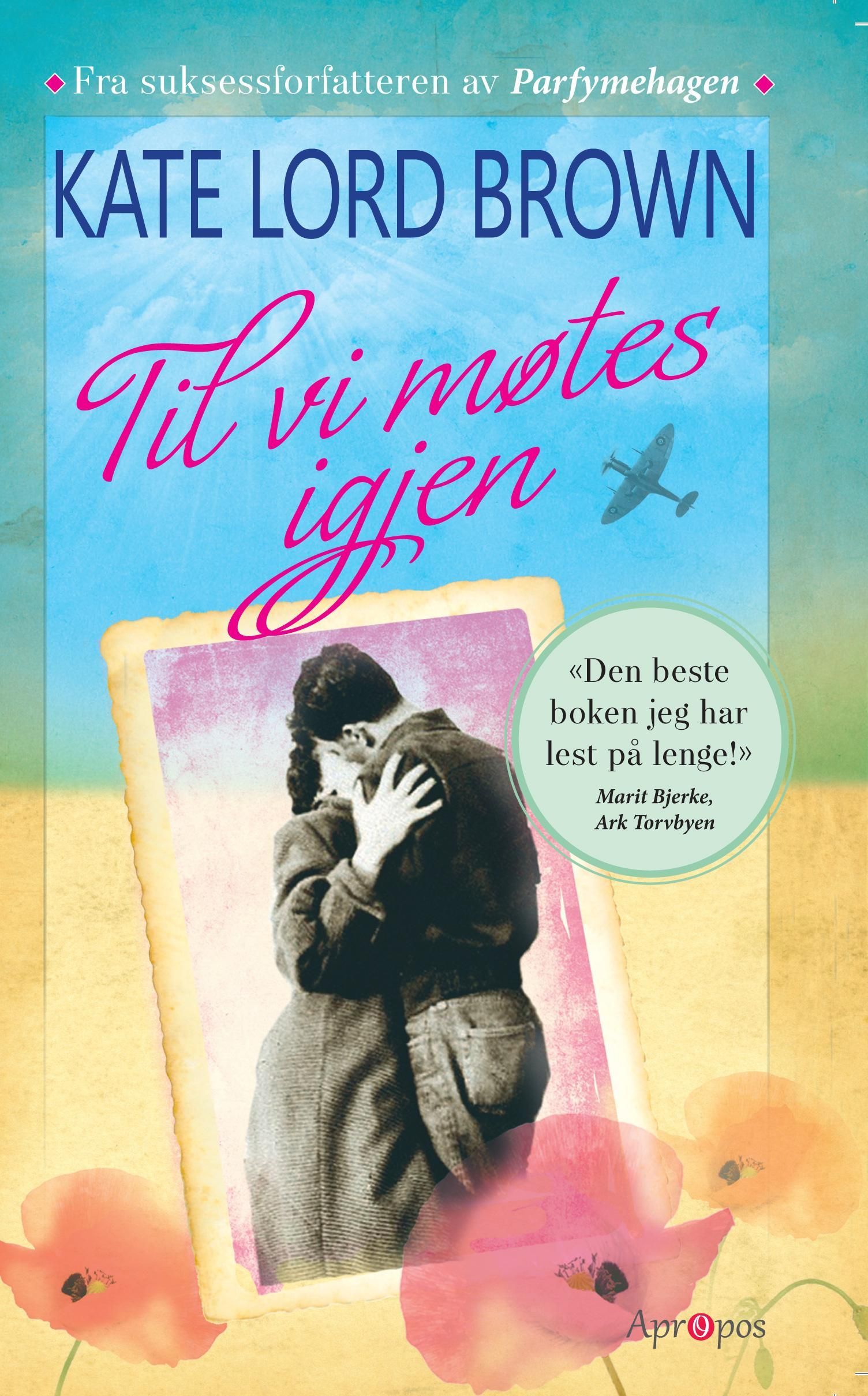 Til vi møtes igjen : roman