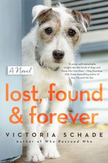 Lost, Found, And Forever : A Novel