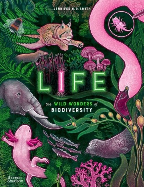 Forsidebilde av Life : The wild wonders of biodiversity
