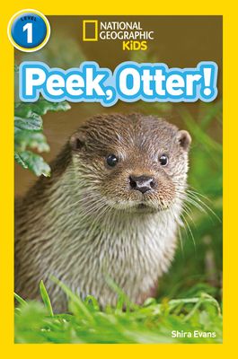 Peek, Otter! : Level 1