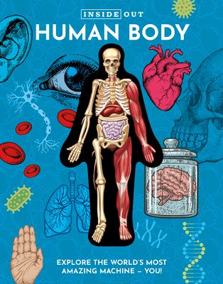 Inside Out Human Body : Explore the World's Most Amazing Machine - You!