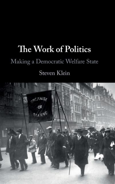 The Work of Politics : Making a Democratic Welfare State