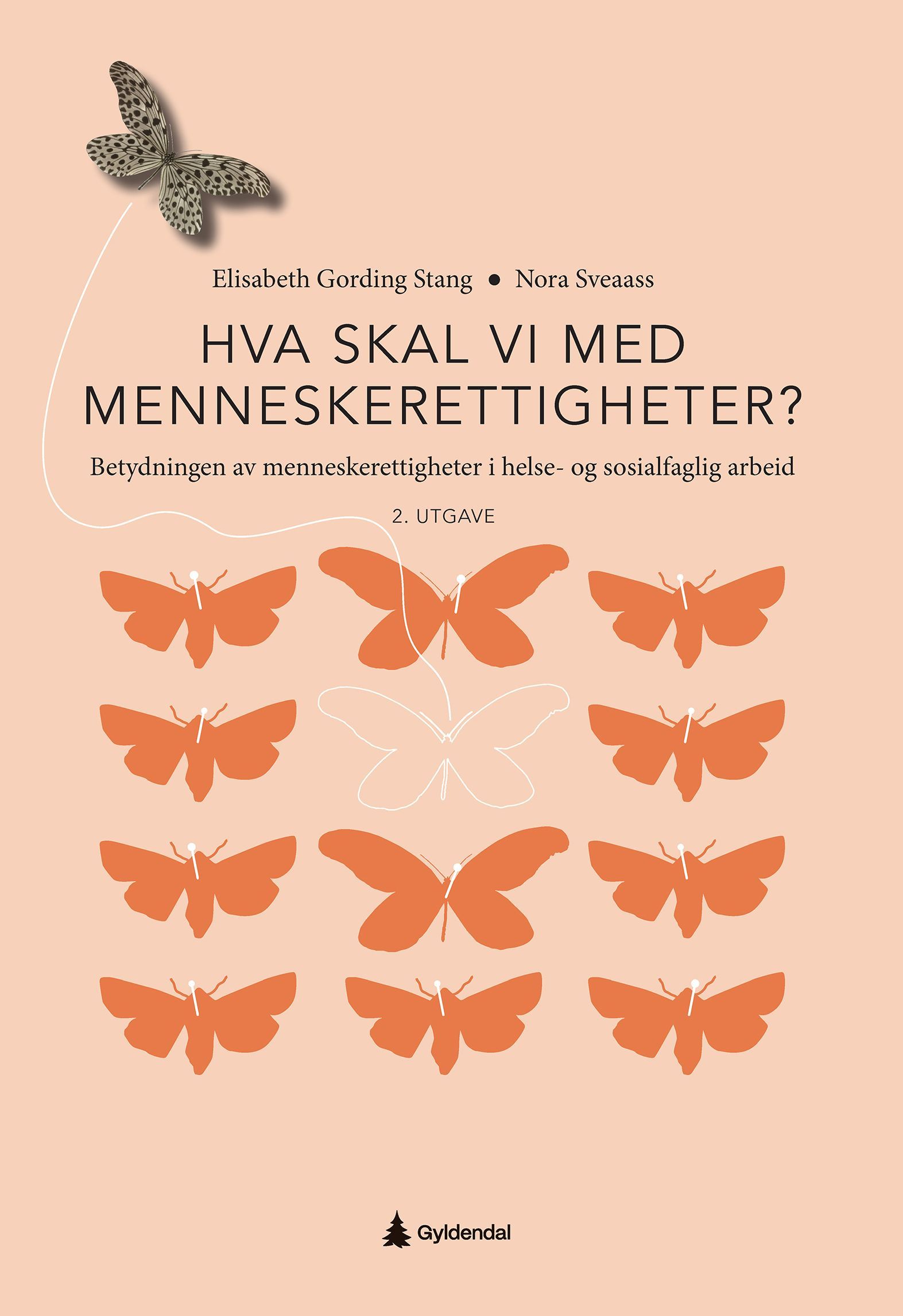Hva skal vi med menneskerettigheter? : betydningen av menneskerettigheter i helse- og sosialfaglig arbeid
