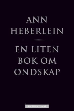 En liten bok om ondskap