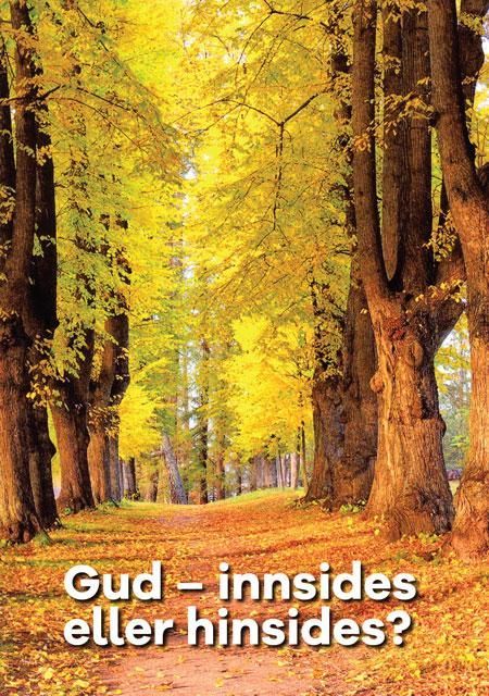 Gud - innsides eller hinsides? : om hjernens egen religiøsitet