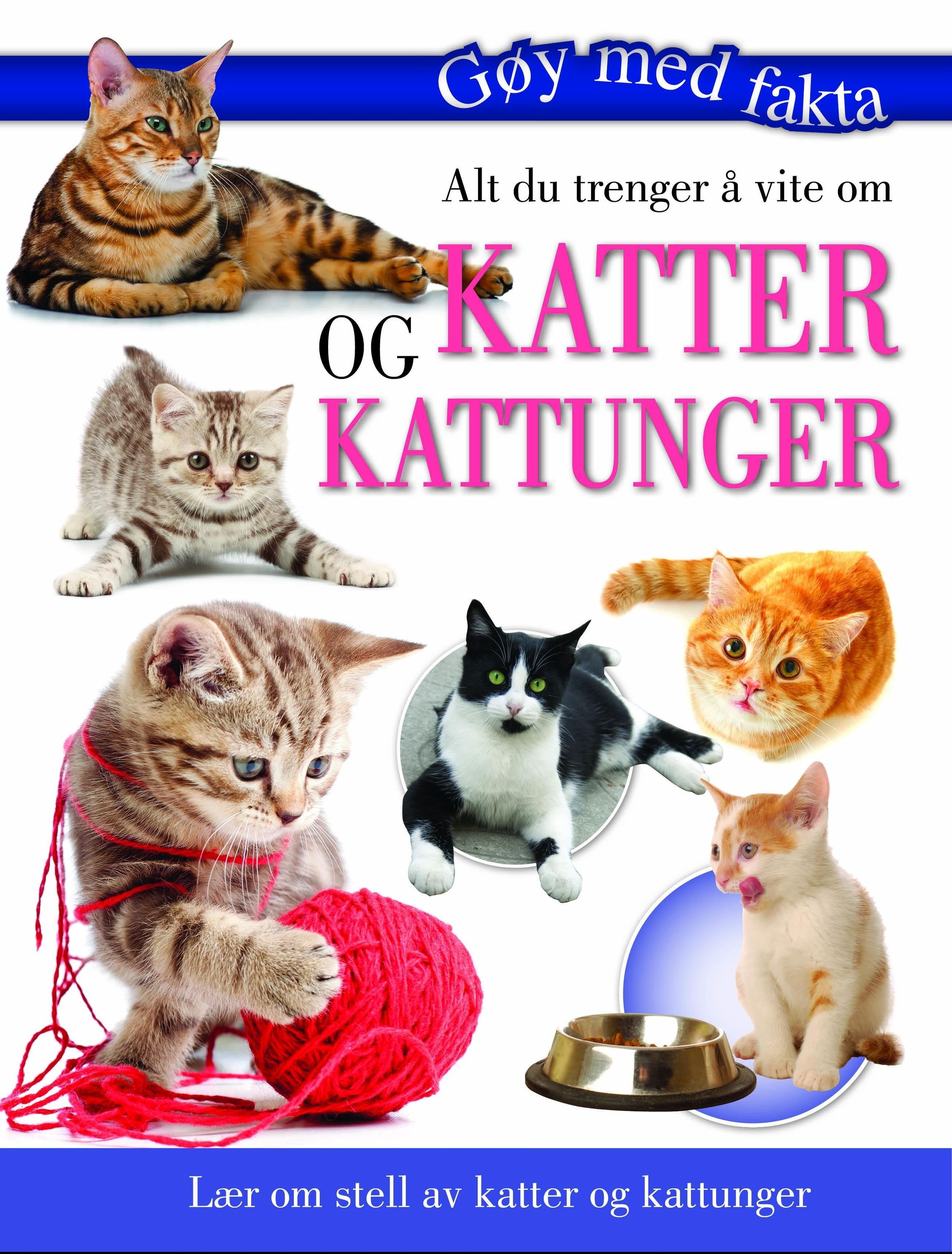 Alt du trenger å vite om katter og kattunger : lær om stell av katter og kattunger