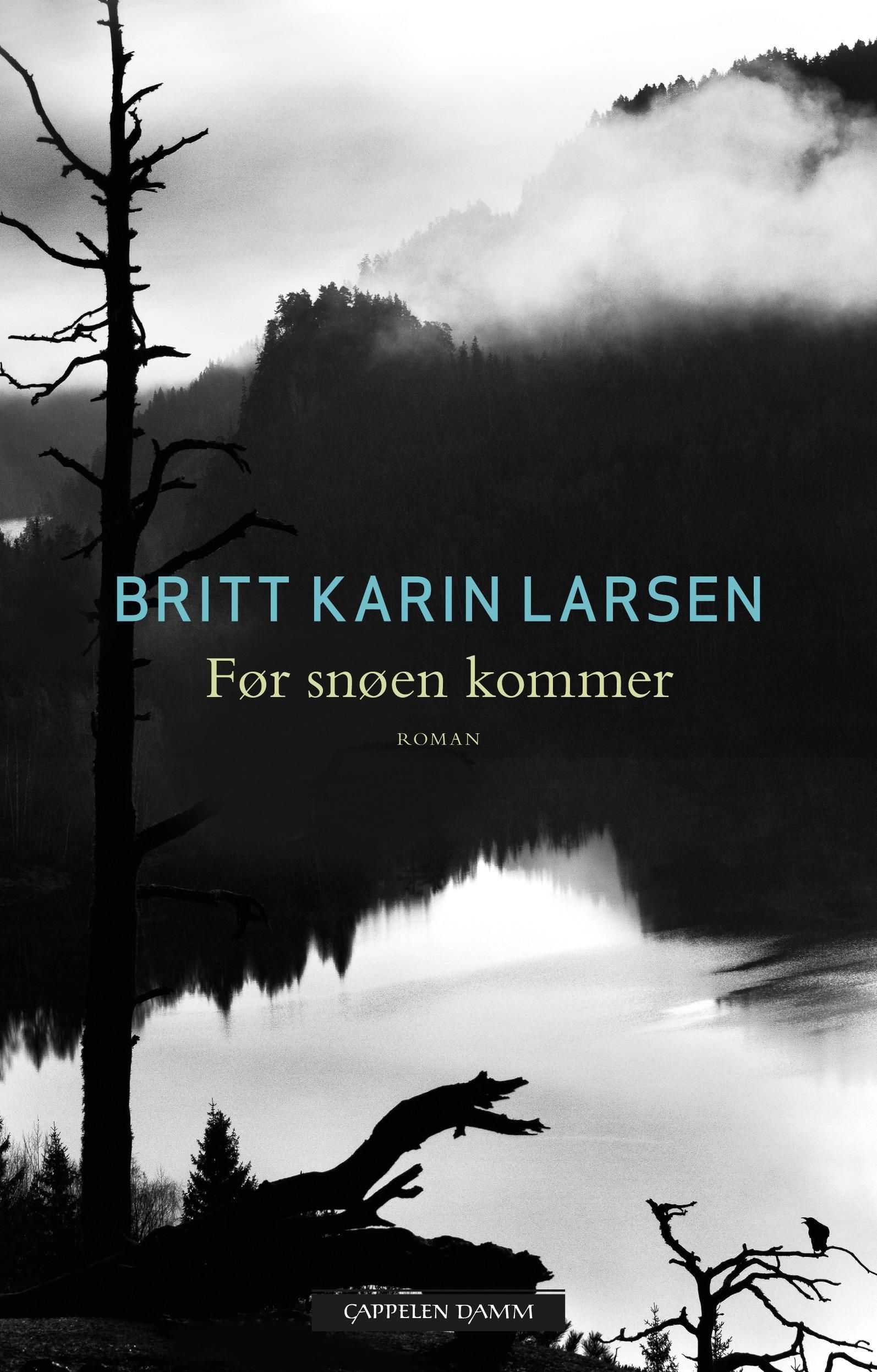 Før snøen kommer : roman