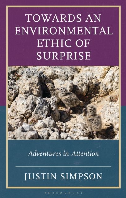 Towards an Environmental Ethic of Surprise : Adventures in Attention