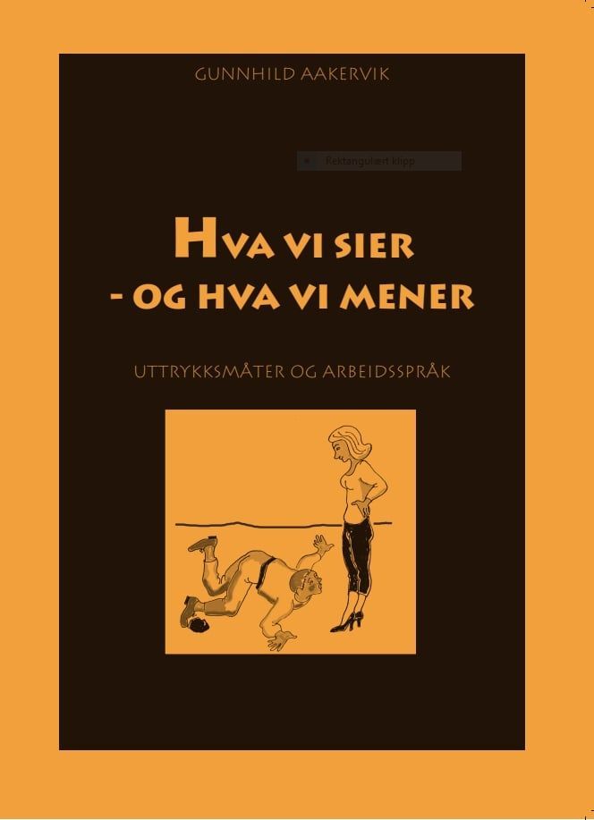 Hva vi sier, og hva vi mener : uttrykksmåter og arbeidsspråk