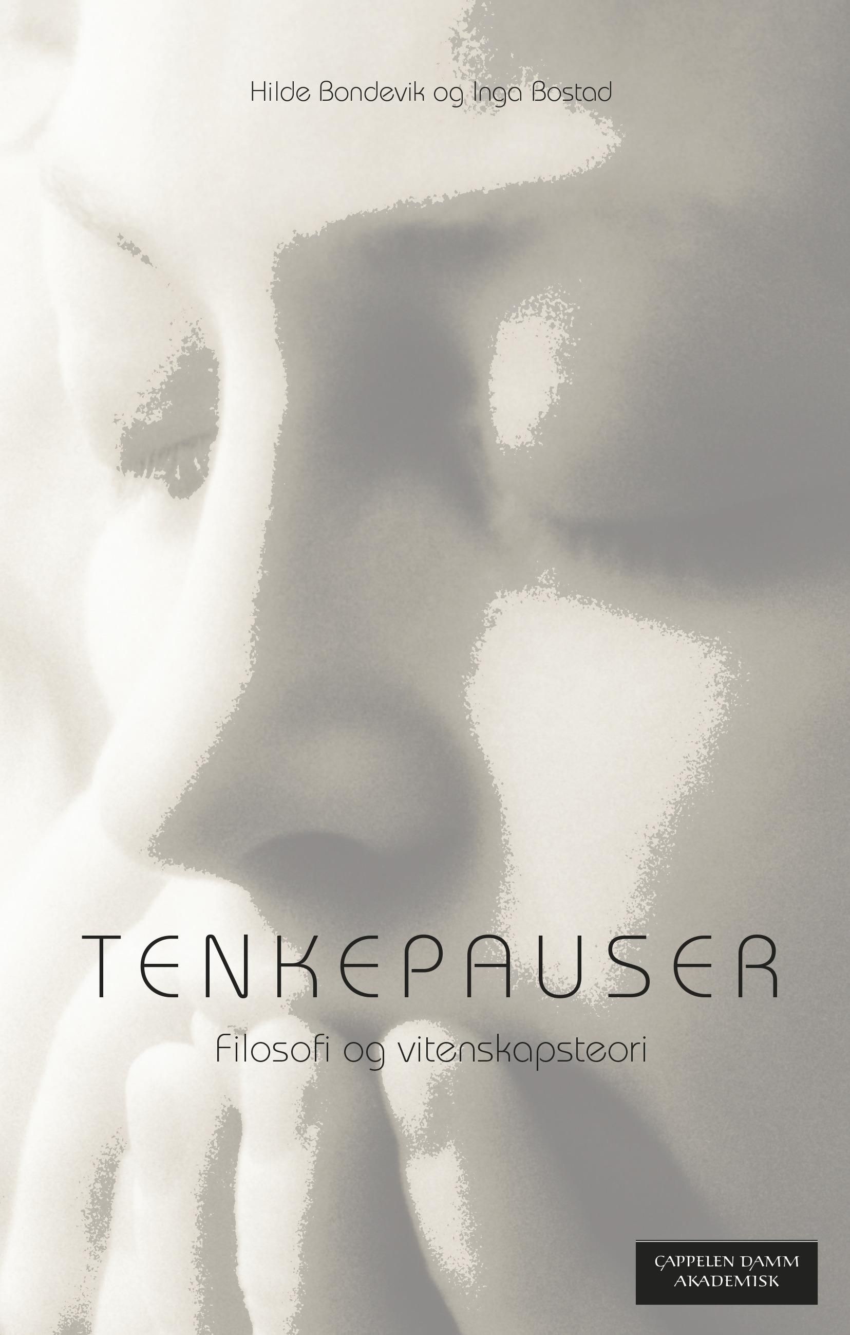Tenkepauser : filosofi og vitenskapsteori