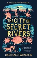 The city of secret rivers