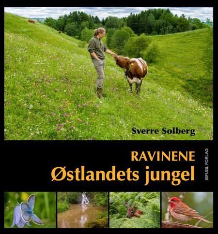 Ravinene : Østlandets jungel