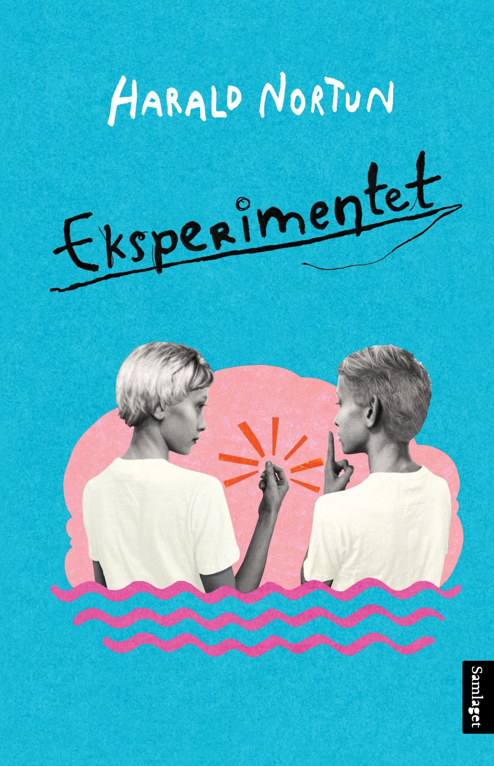 Eksperimentet : roman
