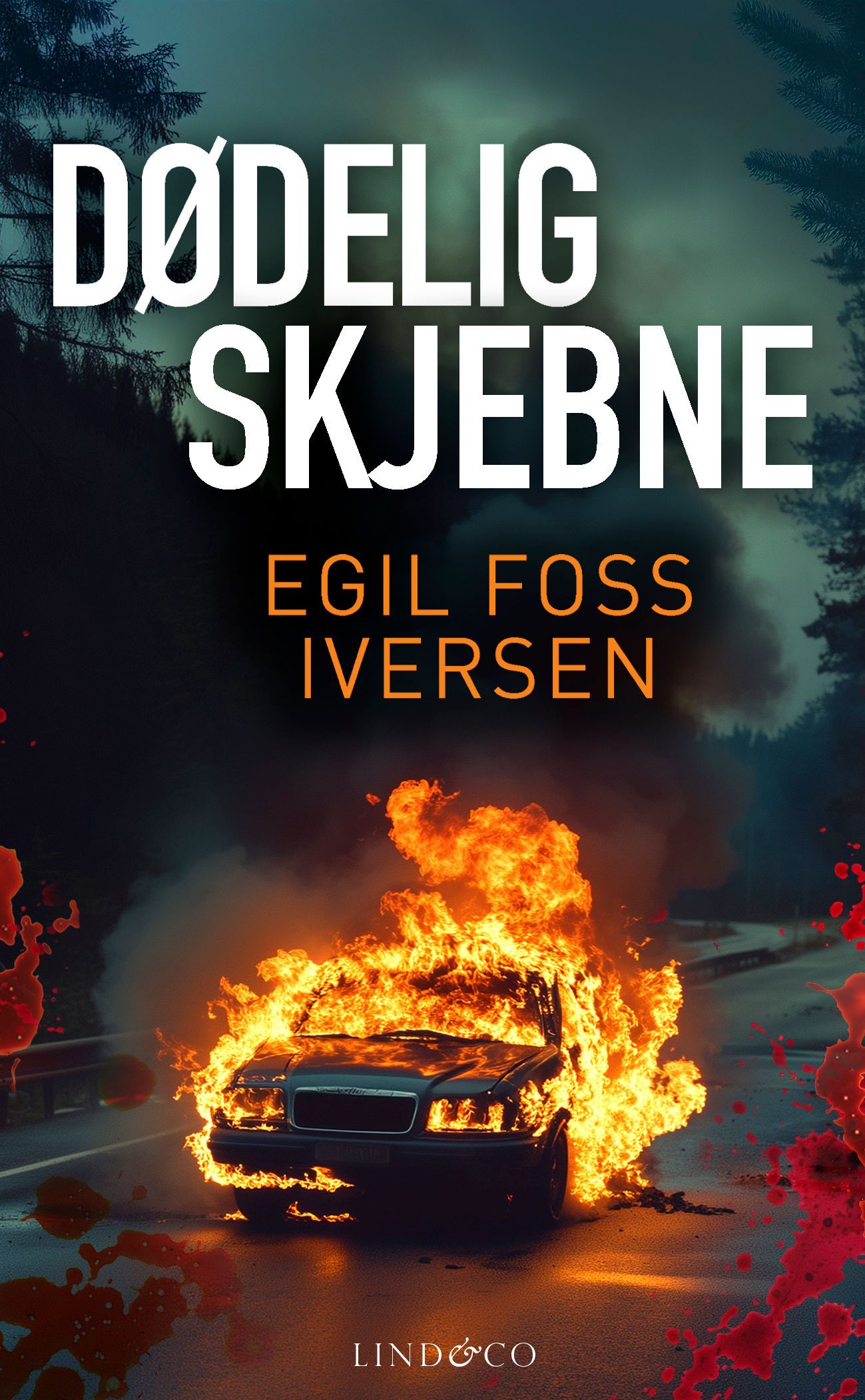 Stopp tjuven! : en redningsaksjon for velferdsstaten