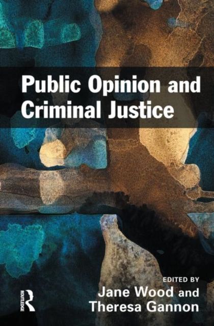 Public Opinion and Criminal Justice : Context, Practice and Values