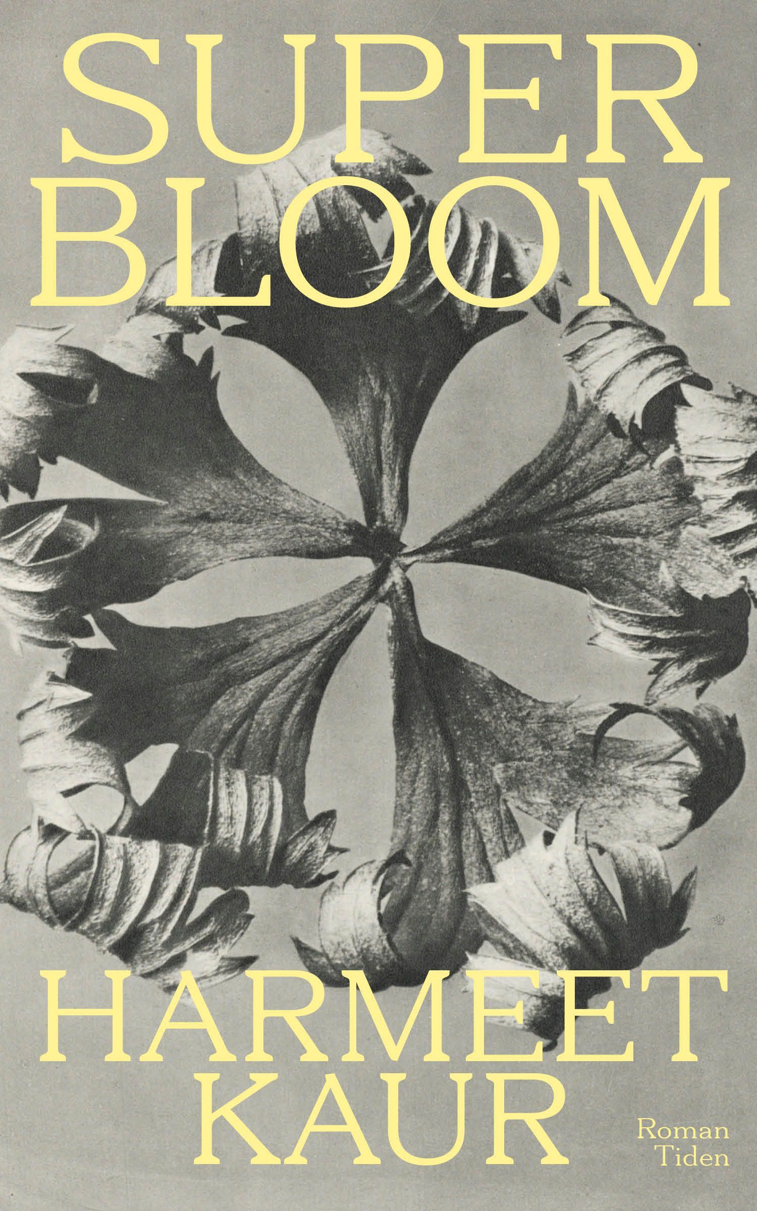 Superbloom