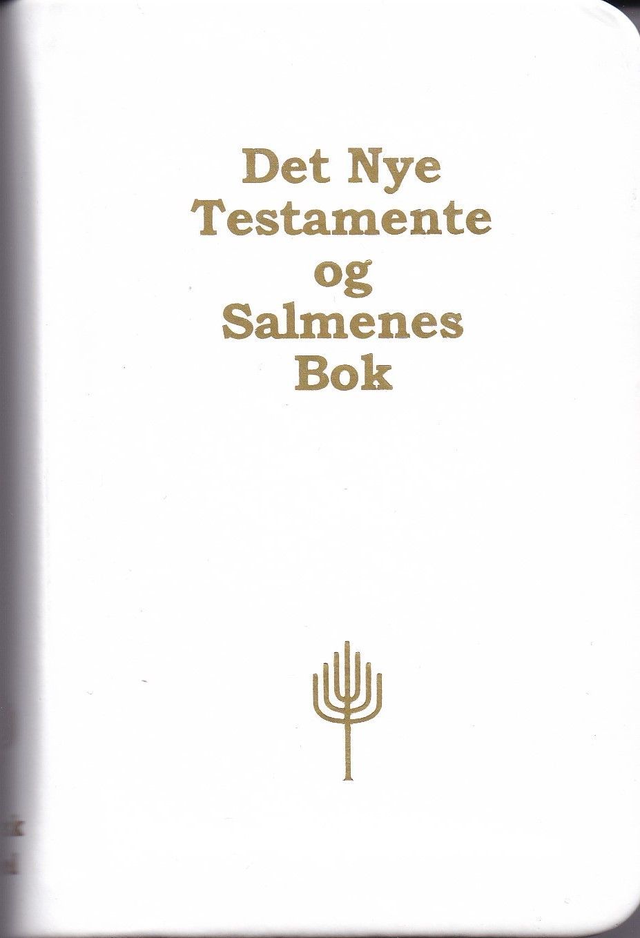 Det nye testamente og Salmene bok