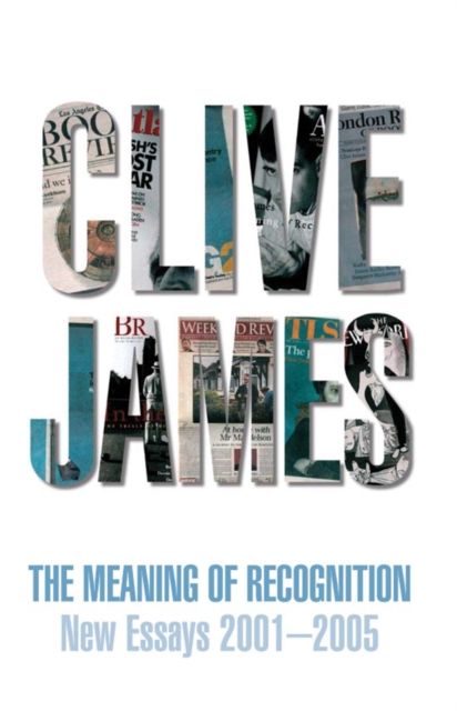 The Meaning of Recognition : Essays 2001-2005