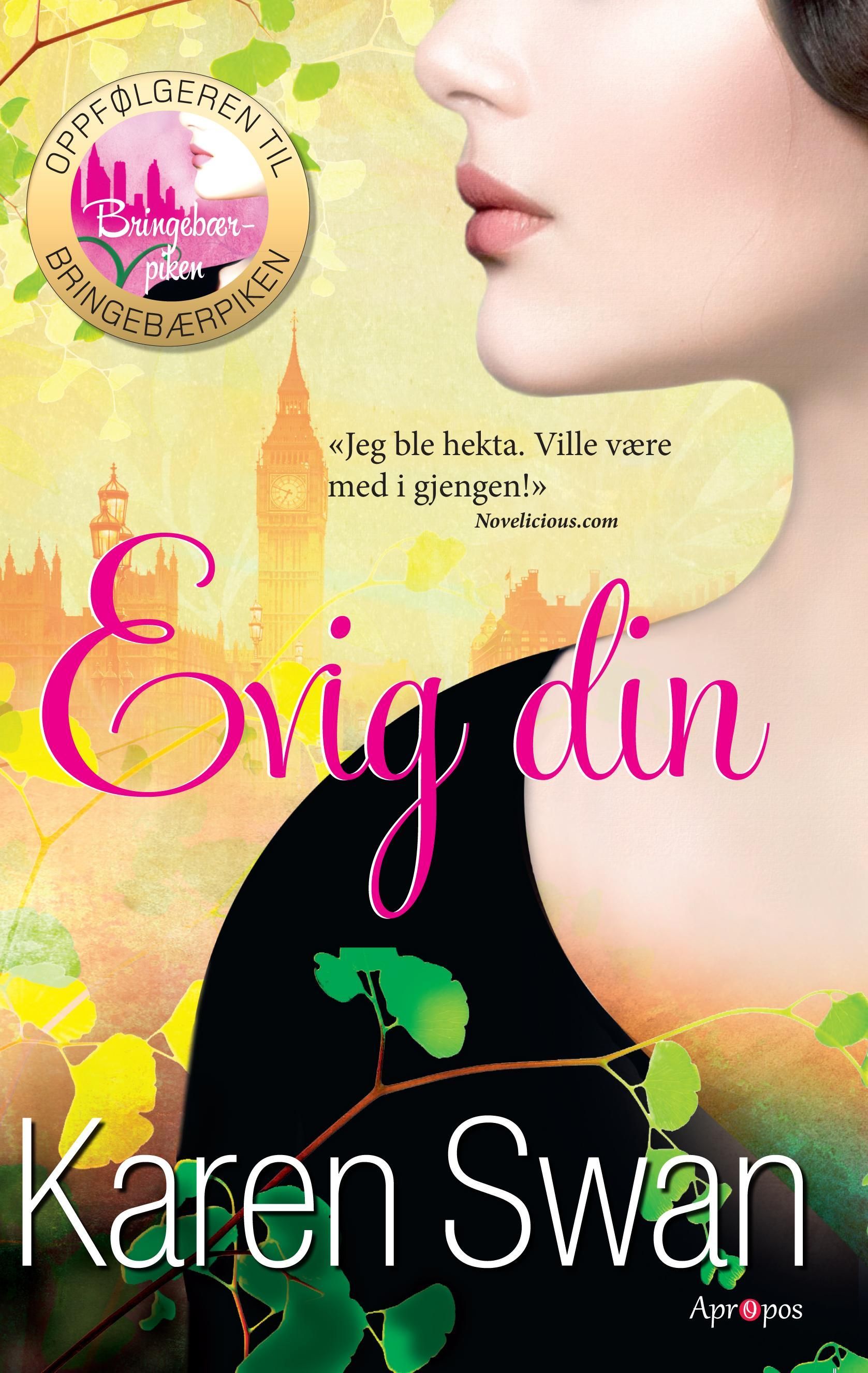 Evig din : roman