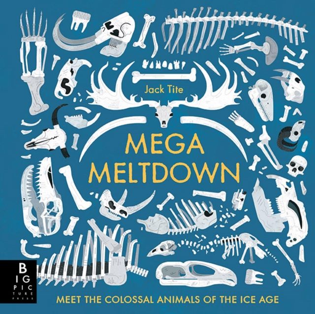 Forsidebilde av Mega Meltdown