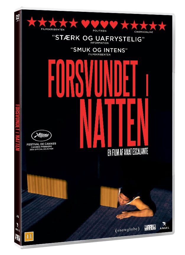 Forsvundet i natten