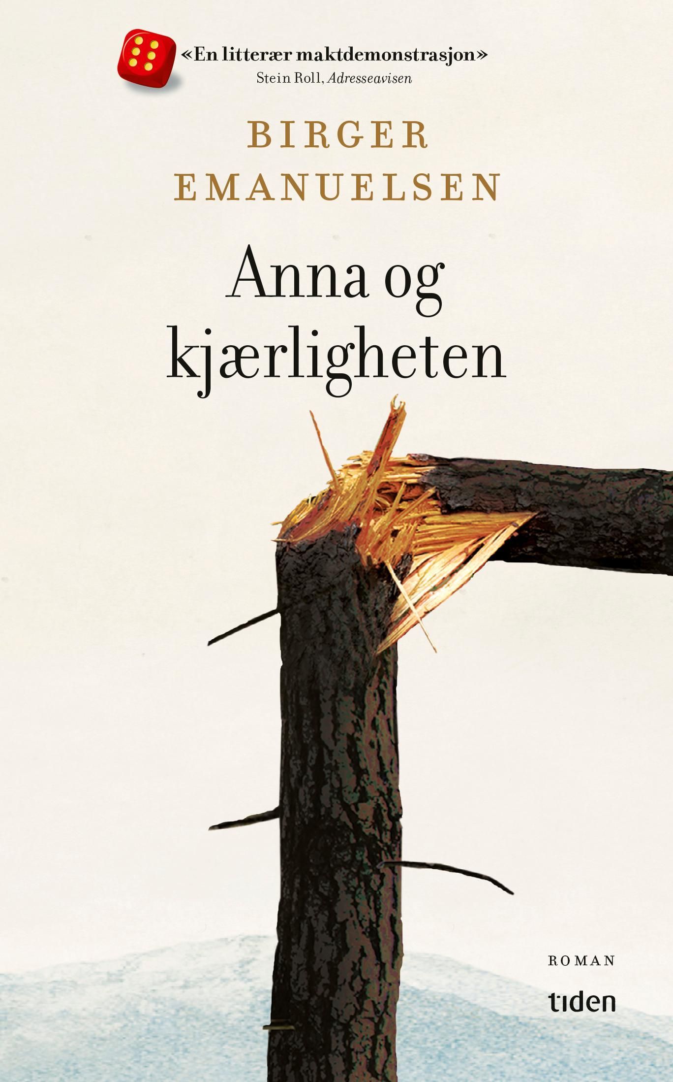 Anna og kjærligheten : roman