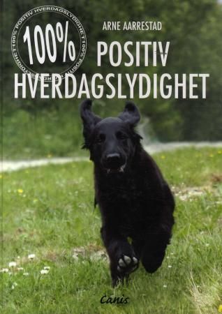 100% positiv hverdagslydighet