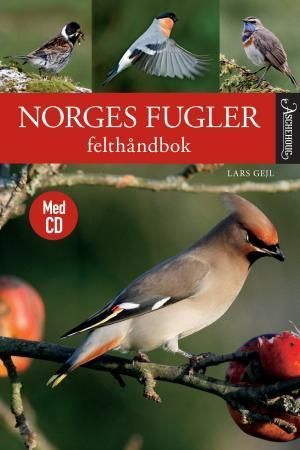Norges fugler : felthåndbok
