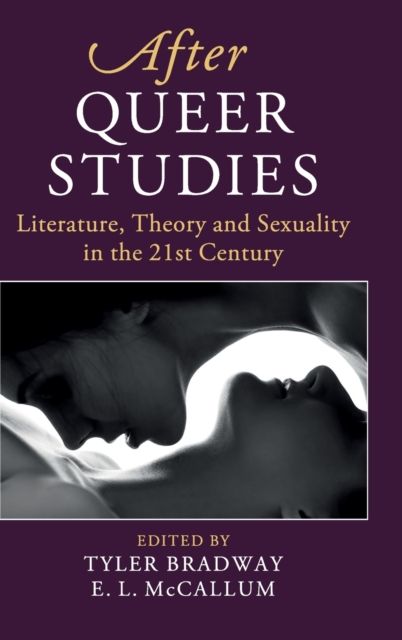 After Queer Studies : Literature, Theory and Sexuality in the 21st Century