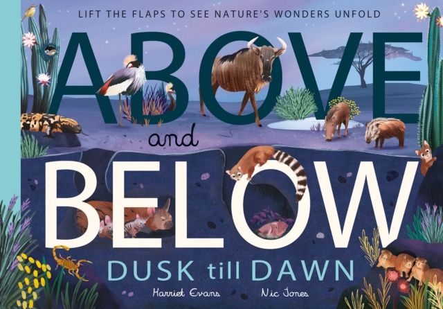Above and Below: Dusk till Dawn : Lift the flaps to see nature's wonders unfold