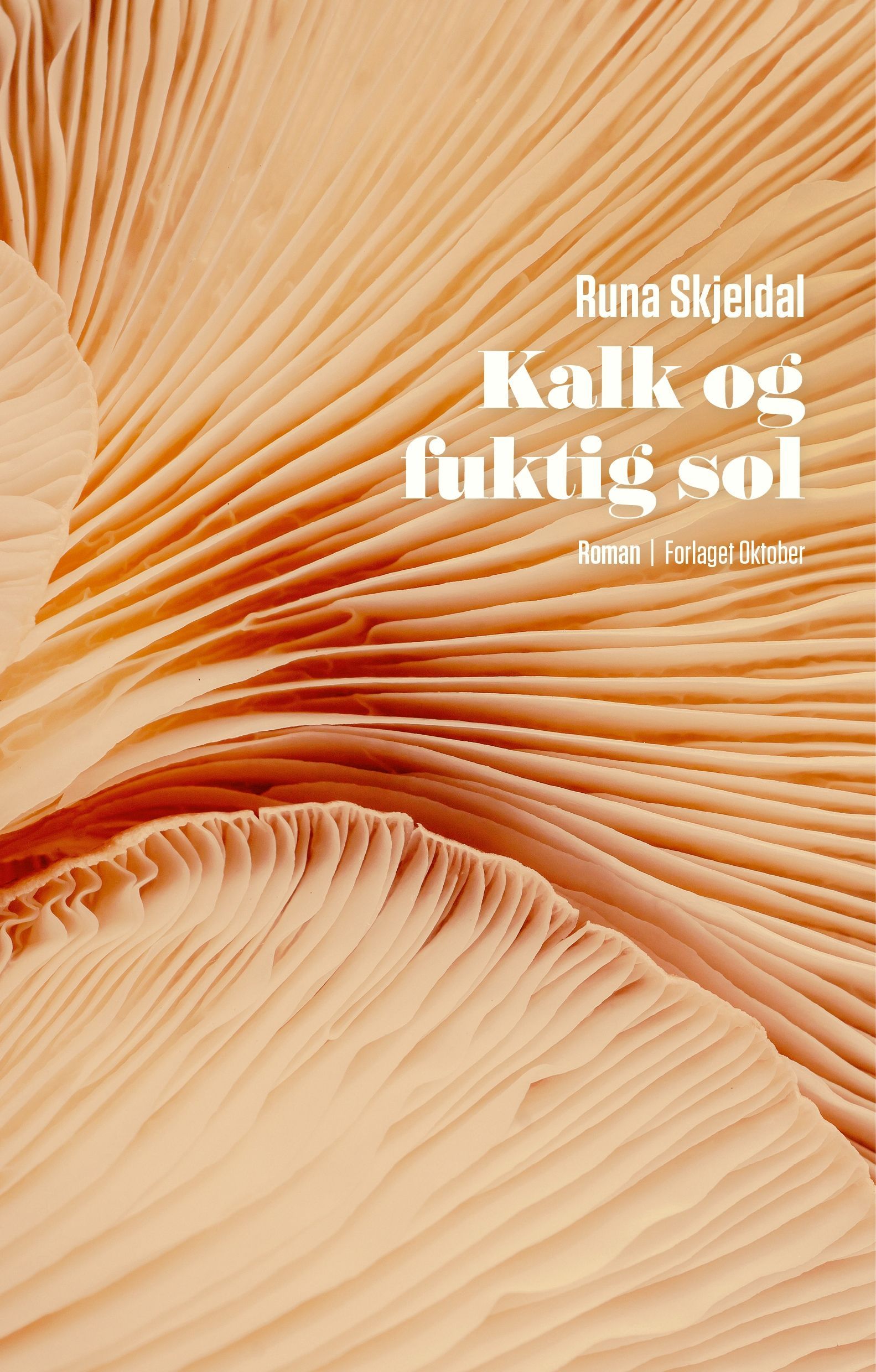 Kalk og fuktig sol : roman