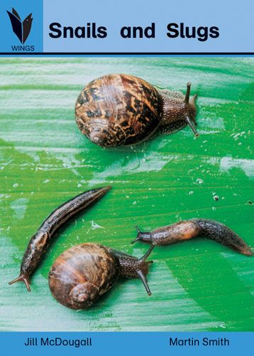 Snails and slugs