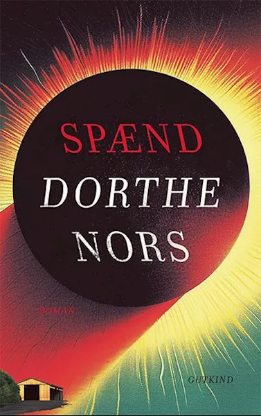 Forsidebilde av Spænd : roman