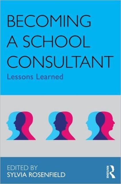Becoming a School Consultant : Lessons Learned