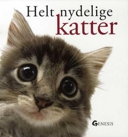 Helt nydelige katter