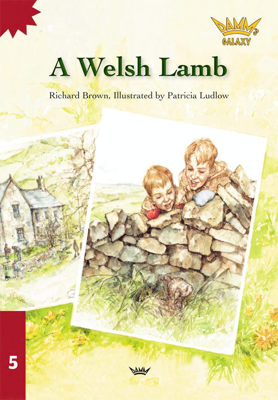 Forsidebilde av A Welsh lamb