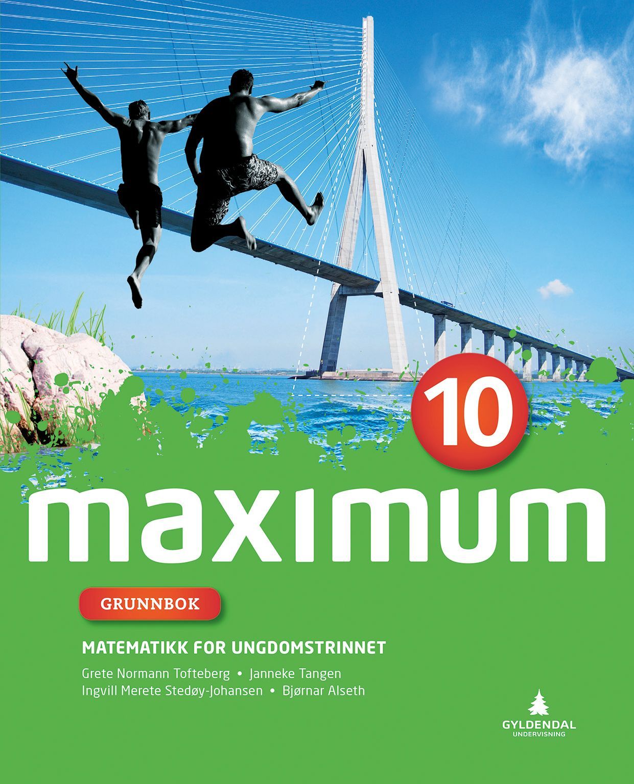Maximum 10 : matematikk for ungdomstrinnet : grunnbok