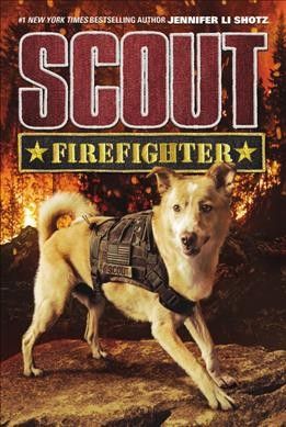 Firefighter : national hero