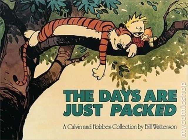 The days are just packed : a Calvin and Hobbes collection