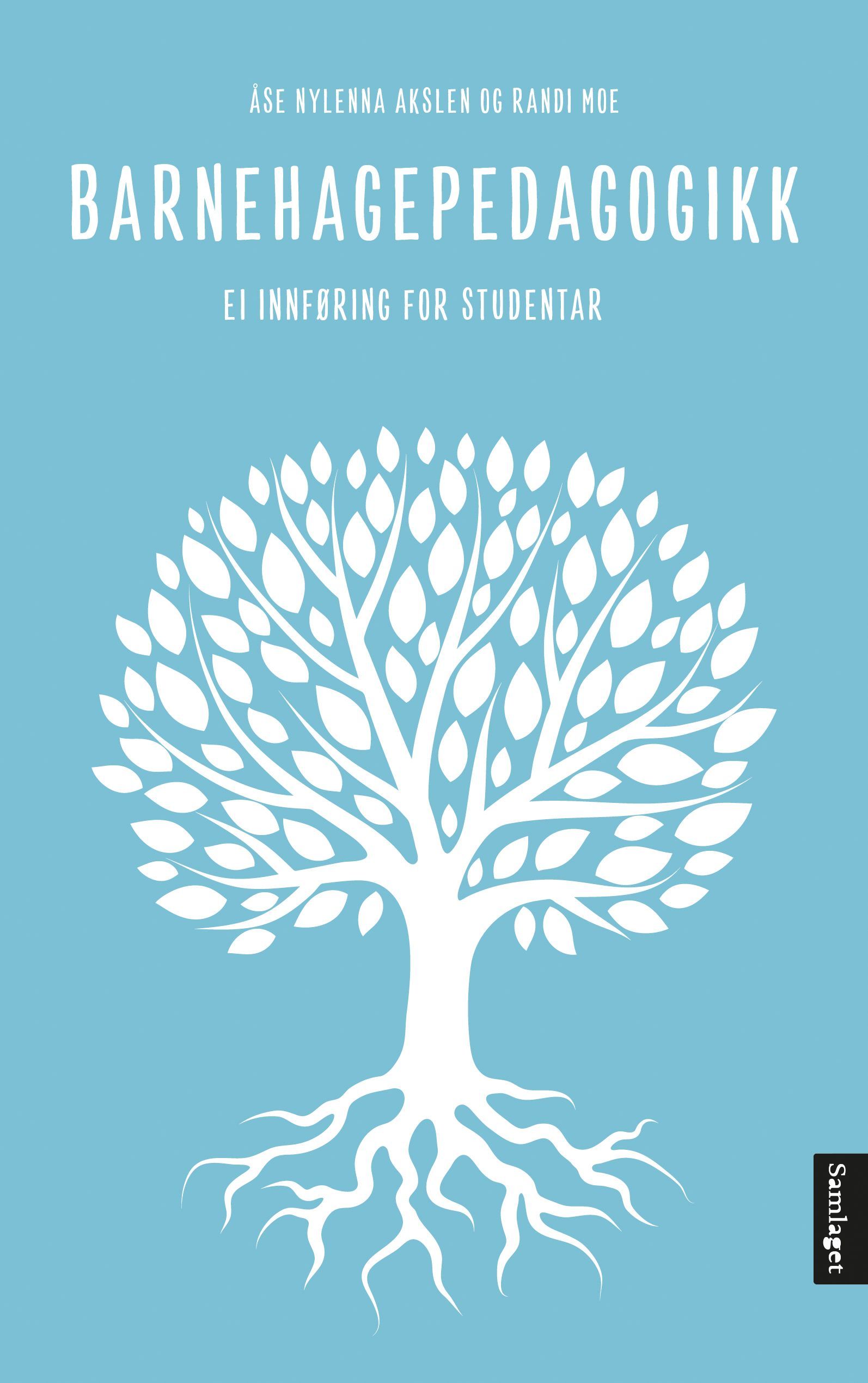 Barnehagepedagogikk : ei innføring for studentar