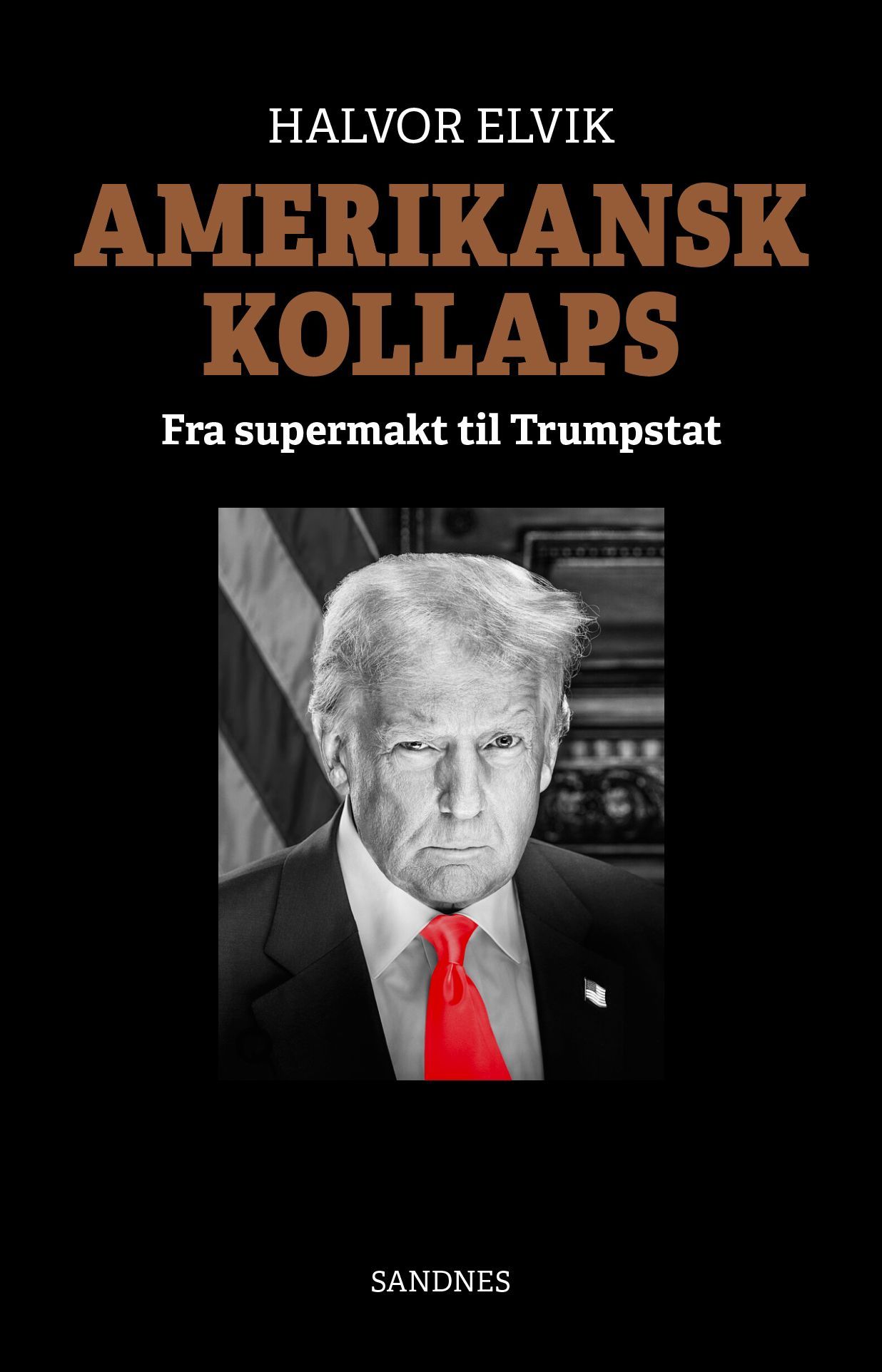 Amerikansk kollaps : fra supermakt til Trumpstat