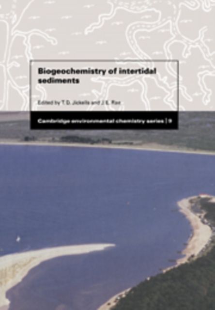 Biogeochemistry of Intertidal Sediments
