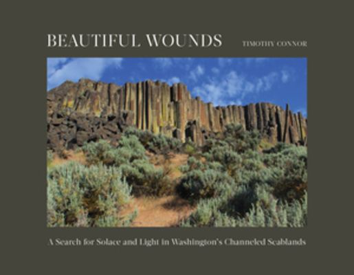 Beautiful Wounds : A Search for Solace and Light in Washington's Channeled Scablands