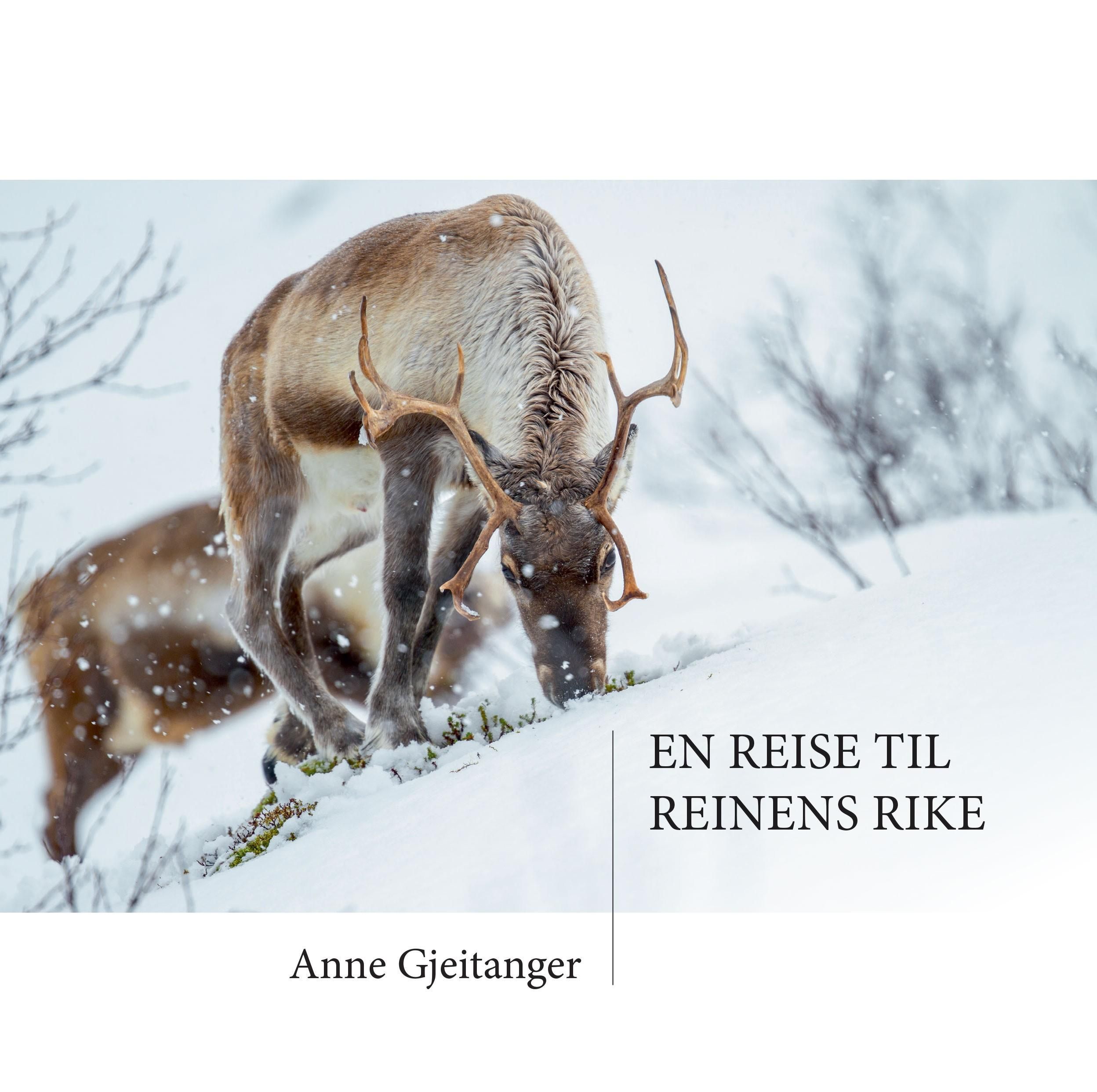 Forsidebilde av En reise til reinens rike